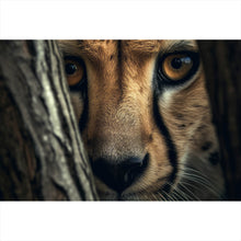Lade das Bild in den Galerie-Viewer, Poster Raubkatze auf der Lauer Querformat