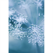 Lade das Bild in den Galerie-Viewer, Aluminiumbild Raureif am Morgen Hochformat