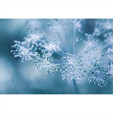 Lade das Bild in den Galerie-Viewer, Leinwandbild Raureif am Morgen Querformat