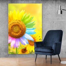 Lade das Bild in den Galerie-Viewer, Aluminiumbild gebürstet Regenbogen Sonnenblume Hochformat