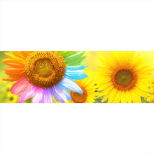 Lade das Bild in den Galerie-Viewer, Spannrahmenbild Regenbogen Sonnenblume Panorama