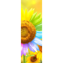 Lade das Bild in den Galerie-Viewer, Poster Regenbogen Sonnenblume Panorama Hoch