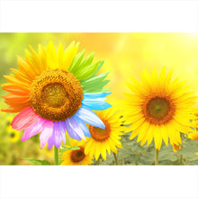 Lade das Bild in den Galerie-Viewer, Poster Regenbogen Sonnenblume Querformat