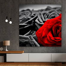 Lade das Bild in den Galerie-Viewer, Leinwandbild Romantische Rosen Quadrat