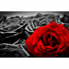 Lade das Bild in den Galerie-Viewer, Poster Romantische Rosen Querformat