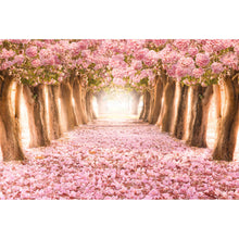 Lade das Bild in den Galerie-Viewer, Aluminiumbild gebürstet Rosa Allee im Frühjahr Querformat
