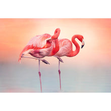Lade das Bild in den Galerie-Viewer, Poster Rosa Flamingo Paar Querformat