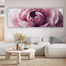 Lade das Bild in den Galerie-Viewer, Acrylglasbild Rosa Hahnenfuß Panorama