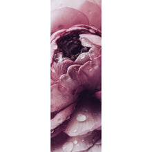 Lade das Bild in den Galerie-Viewer, Acrylglasbild Rosa Hahnenfuß Panorama Hoch