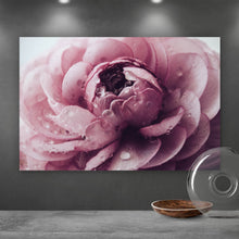 Lade das Bild in den Galerie-Viewer, Poster Rosa Hahnenfuß Querformat