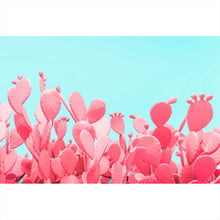 Lade das Bild in den Galerie-Viewer, Aluminiumbild Rosa Kakteen auf Türkis Querformat