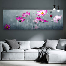 Lade das Bild in den Galerie-Viewer, Spannrahmenbild Rosa Kosmosblumen im Garten Panorama
