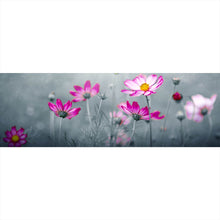 Lade das Bild in den Galerie-Viewer, Spannrahmenbild Rosa Kosmosblumen im Garten Panorama