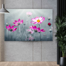 Lade das Bild in den Galerie-Viewer, Spannrahmenbild Rosa Kosmosblumen im Garten Querformat