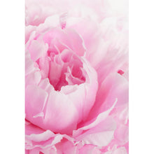 Lade das Bild in den Galerie-Viewer, Acrylglasbild Pfingstrose Rosa Hochformat