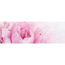 Lade das Bild in den Galerie-Viewer, Acrylglasbild Pfingstrose Rosa Panorama