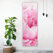 Lade das Bild in den Galerie-Viewer, Acrylglasbild Pfingstrose Rosa Panorama Hoch