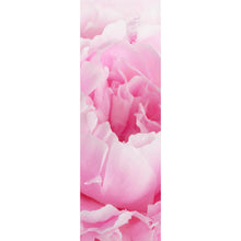 Lade das Bild in den Galerie-Viewer, Acrylglasbild Pfingstrose Rosa Panorama Hoch