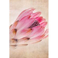 Lade das Bild in den Galerie-Viewer, Acrylglasbild Rosa Vintage Blume Hochformat