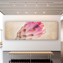 Lade das Bild in den Galerie-Viewer, Aluminiumbild gebürstet Rosa Vintage Blume Panorama