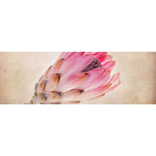 Lade das Bild in den Galerie-Viewer, Aluminiumbild gebürstet Rosa Vintage Blume Panorama