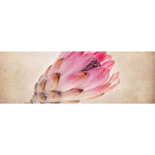 Lade das Bild in den Galerie-Viewer, Spannrahmenbild Rosa Vintage Blume Panorama