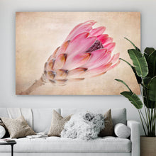 Lade das Bild in den Galerie-Viewer, Aluminiumbild gebürstet Rosa Vintage Blume Querformat