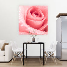 Lade das Bild in den Galerie-Viewer, Spannrahmenbild Rose mit Wasserperlen Quadrat