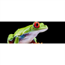 Lade das Bild in den Galerie-Viewer, Aluminiumbild gebürstet Rotaugen Laubfrosch Panorama