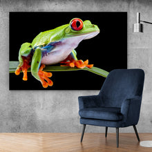 Lade das Bild in den Galerie-Viewer, Leinwandbild Rotaugen Laubfrosch Querformat