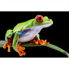 Lade das Bild in den Galerie-Viewer, Leinwandbild Rotaugen Laubfrosch Querformat