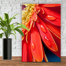 Lade das Bild in den Galerie-Viewer, Aluminiumbild Rote Blume mit Tau Hochformat