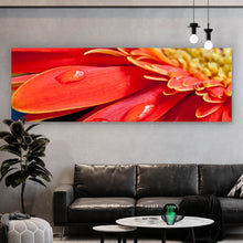 Lade das Bild in den Galerie-Viewer, Leinwandbild Rote Blume mit Tau Panorama