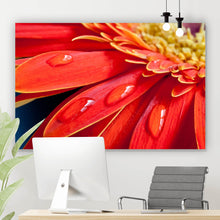 Lade das Bild in den Galerie-Viewer, Leinwandbild Rote Blume mit Tau Querformat