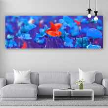 Lade das Bild in den Galerie-Viewer, Aluminiumbild Rote Mohnblume Panorama