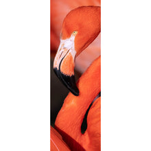 Lade das Bild in den Galerie-Viewer, Spannrahmenbild Roter Flamingo Panorama Hoch