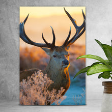 Lade das Bild in den Galerie-Viewer, Spannrahmenbild Rotwild in freier Natur Hochformat