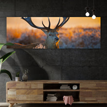 Lade das Bild in den Galerie-Viewer, Spannrahmenbild Rotwild in freier Natur Panorama