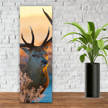 Lade das Bild in den Galerie-Viewer, Poster Rotwild in freier Natur Panorama Hoch