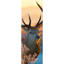 Lade das Bild in den Galerie-Viewer, Poster Rotwild in freier Natur Panorama Hoch