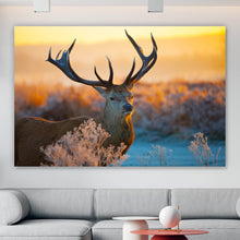 Lade das Bild in den Galerie-Viewer, Spannrahmenbild Rotwild in freier Natur Querformat