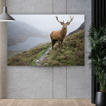 Lade das Bild in den Galerie-Viewer, Poster Rotwildhirsch im Gebirge Querformat
