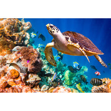 Lade das Bild in den Galerie-Viewer, Leinwandbild Schildkröte unter Wasser Querformat