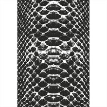 Lade das Bild in den Galerie-Viewer, Leinwandbild Schlangenhaut Muster Schwarz Weiß Hochformat