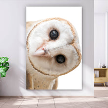 Lade das Bild in den Galerie-Viewer, Poster Schleiereule auf weißem Hintergrund Hochformat