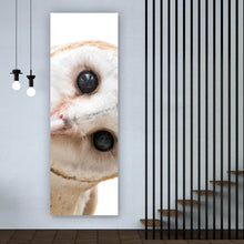 Lade das Bild in den Galerie-Viewer, Poster Schleiereule auf weißem Hintergrund Panorama Hoch