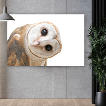 Lade das Bild in den Galerie-Viewer, Poster Schleiereule auf weißem Hintergrund Querformat