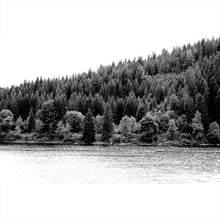 Lade das Bild in den Galerie-Viewer, Aluminiumbild gebürstet Schluchsee im Schwarzwald schwarz weiss Querformat