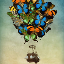 Lade das Bild in den Galerie-Viewer, Leinwandbild Schmetterling Heißluftballon Quadrat