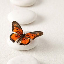 Lade das Bild in den Galerie-Viewer, Leinwandbild Schmetterling Orange Quadrat